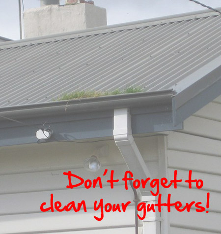clean-your-gutters