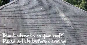 Read more about the article Should I Clean My Roof with Bleach and Water?