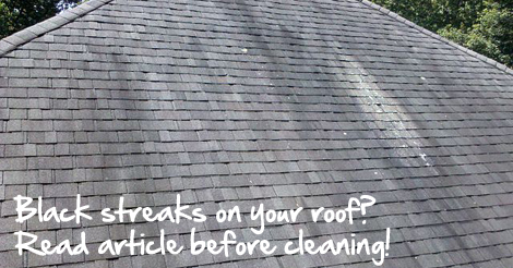 Should I Clean My Roof with Bleach and Water?