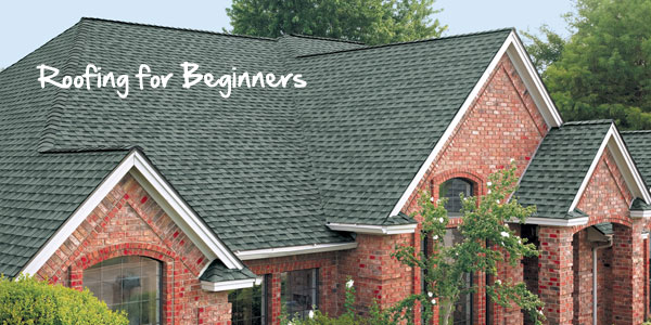 roofing for beginners