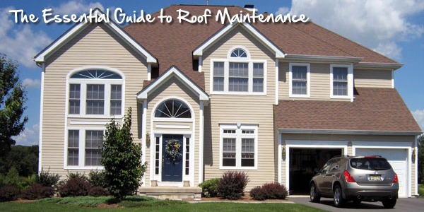 Read more about the article The Essential Guide to Roof Maintenance