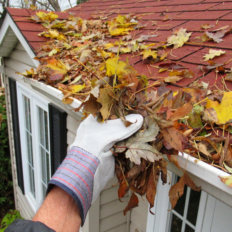 Making the Choice: Professional Gutter Maintenance vs. DIY for All Homeowners